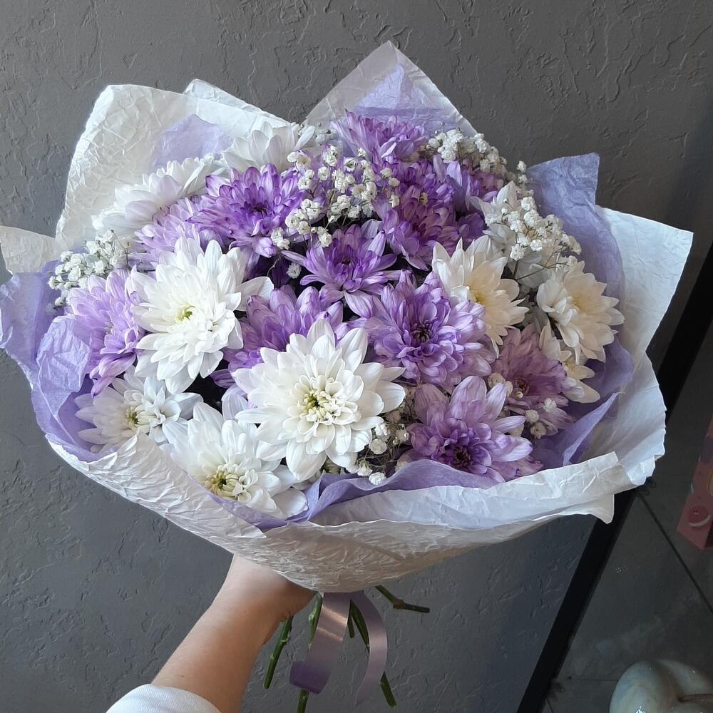 Хризантема 7